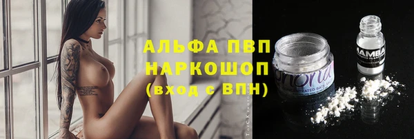 скорость Алексин