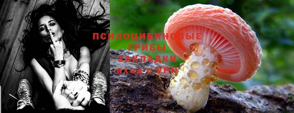 бошки Алексеевка