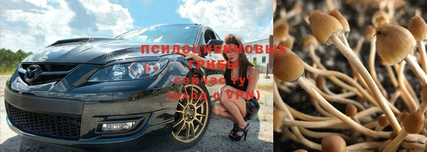 MDMA Осинники