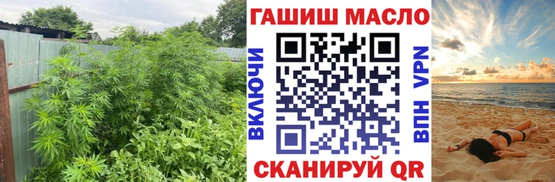наркошоп  Омутнинск  ТГК концентрат 