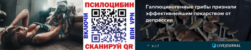 OMG сайт  Омутнинск  Галлюциногенные грибы ЛСД 